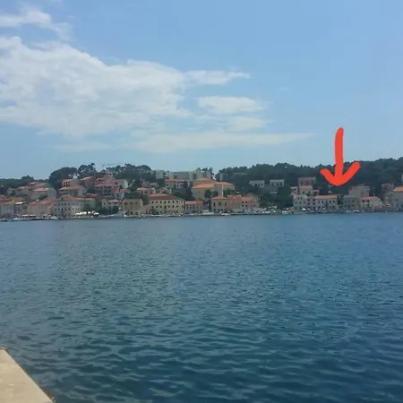 Appartamento Malidolphin